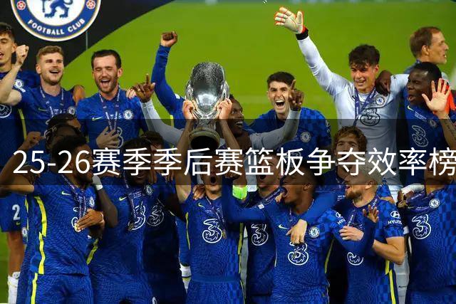25-26赛季季后赛篮板争夺效率榜：约基奇卡位成功率高达93.8%领跑